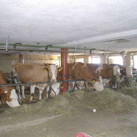 Apartments In Bruck Am Ziller/Zillertal 857 Grosshartberg 外观 照片